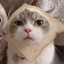 Yazoo_ avatar