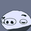pipipipipipipipipipi avatar
