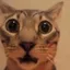 Rabila13 avatar