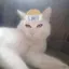 creman_54567 avatar