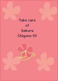Sakura Chiyono-O umamusume
