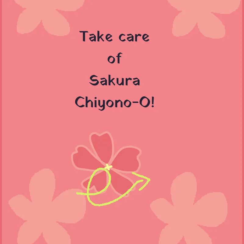 Sakura Chiyono-O umamusume by @Flower666