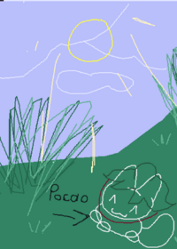 Pocao's playground (idk+wip^^)