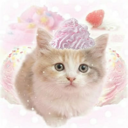 @1_bassie_1