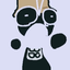 Eclaire avatar