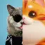 OscarsFunnyWorldCatInDay avatar