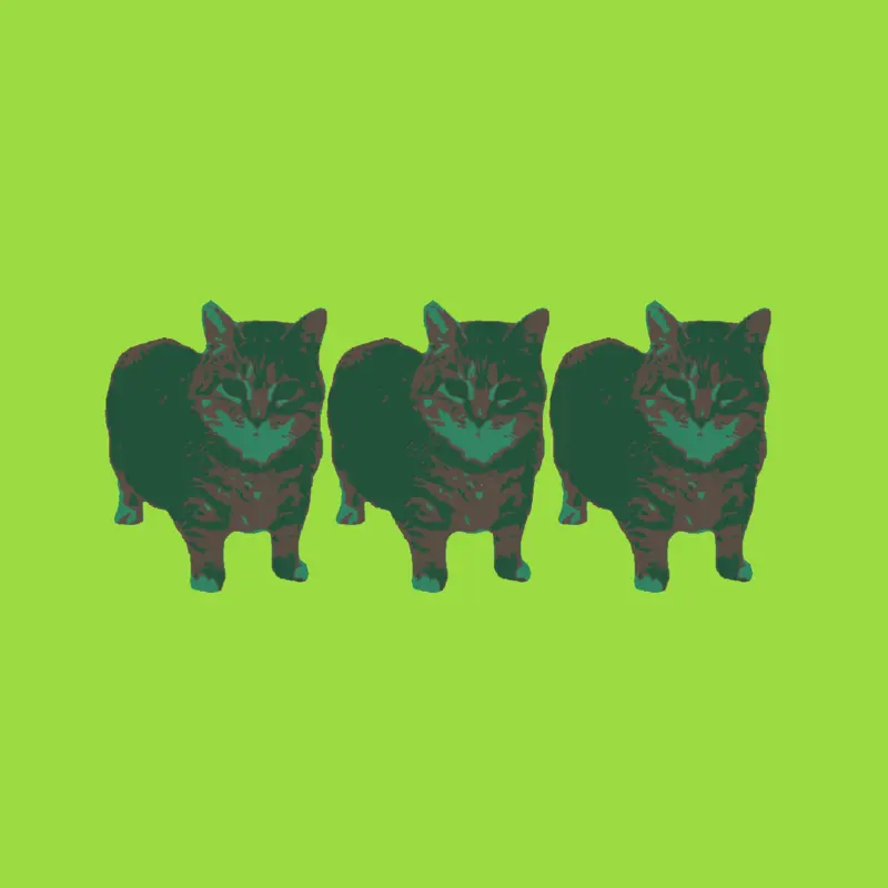 Game by @Dontfollowme