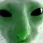 Jellycat4000 avatar