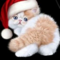 @noobbloxgames-catmat-c