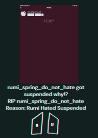 rumi_spring_do_not_hate got suspended why...