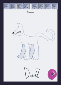 Cat ragdoll