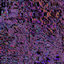 why_islifepain avatar