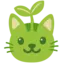 fbvdvdfv avatar