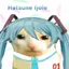 Mikudayyyooo avatar