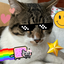 Teddy_Offical avatar