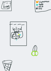 Bag