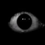 that_is_me avatar