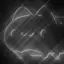 DatkMetalBugCat avatar