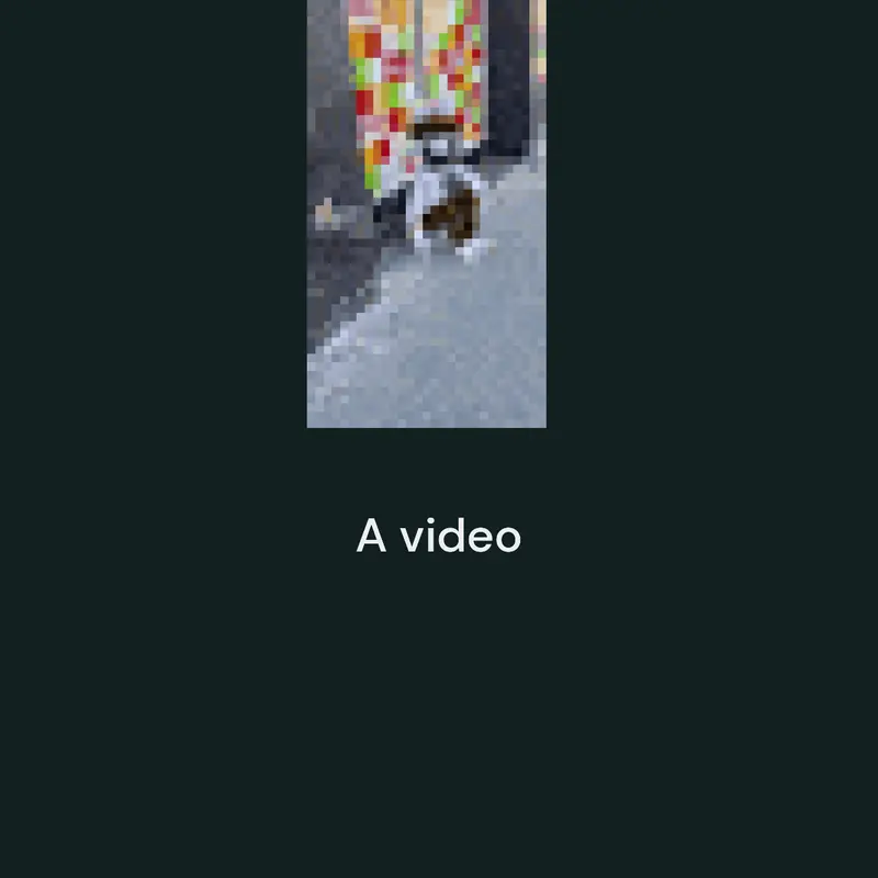 A video by @hamboi
