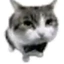 Not_MilkChocolate avatar