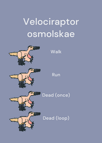 Velociraptor osmolskae animation