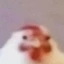 1x1chicks avatar