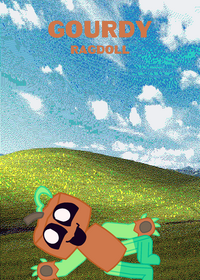 Gourdy Ragdoll .
