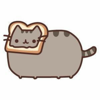 @Pusheen_thecat
