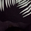 ashyss avatar