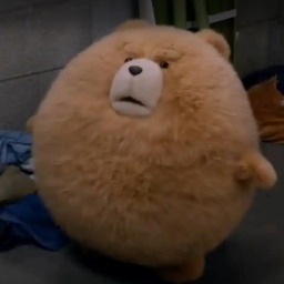 @ted_grrrmondays