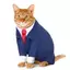GoodyCat avatar