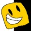 randomplayercoolguy avatar