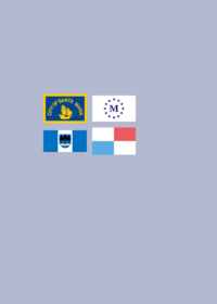 Flag band filler 1