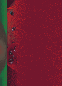 Tornado animation 5 (Spam Post) Other tags:
