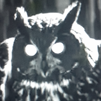 @Black_Owl_Official