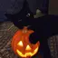 A_Normal_Cat avatar