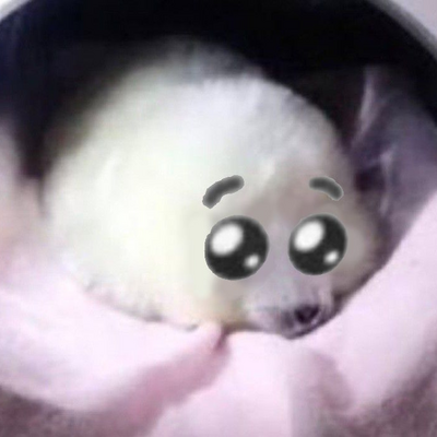 @UrLocalSealLover