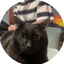 lolman354kcheese avatar