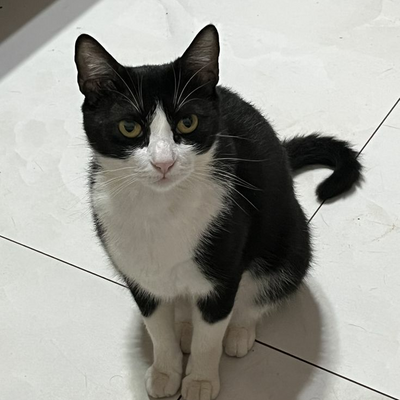 @i_like_cats0