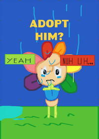 Adopt dandy?