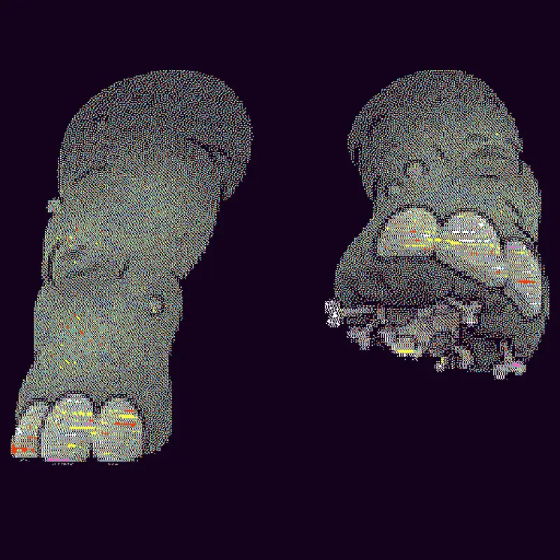 Tuff by @Zopchik