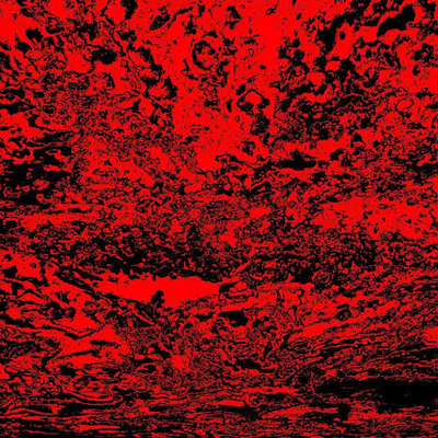 @Mungus_no-where