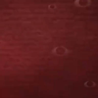 @AsvinaVionita19
