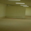 backrooms2 avatar