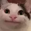 Beluga_PH avatar