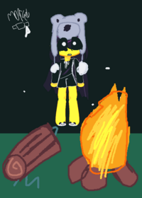 Koala kid ragdoll