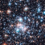 Starsrex avatar