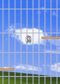 Aviary birds
