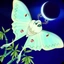 _ANG3L_ avatar