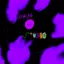 purple-studio avatar